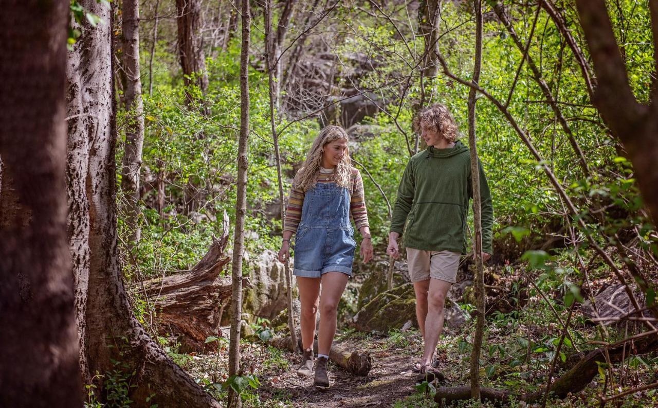 Elise Cabin Forest Retreat 5 Mins To Downtown Чаттануга Экстерьер фото